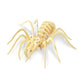 JP205 spider