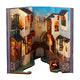 Shuicheng Diary