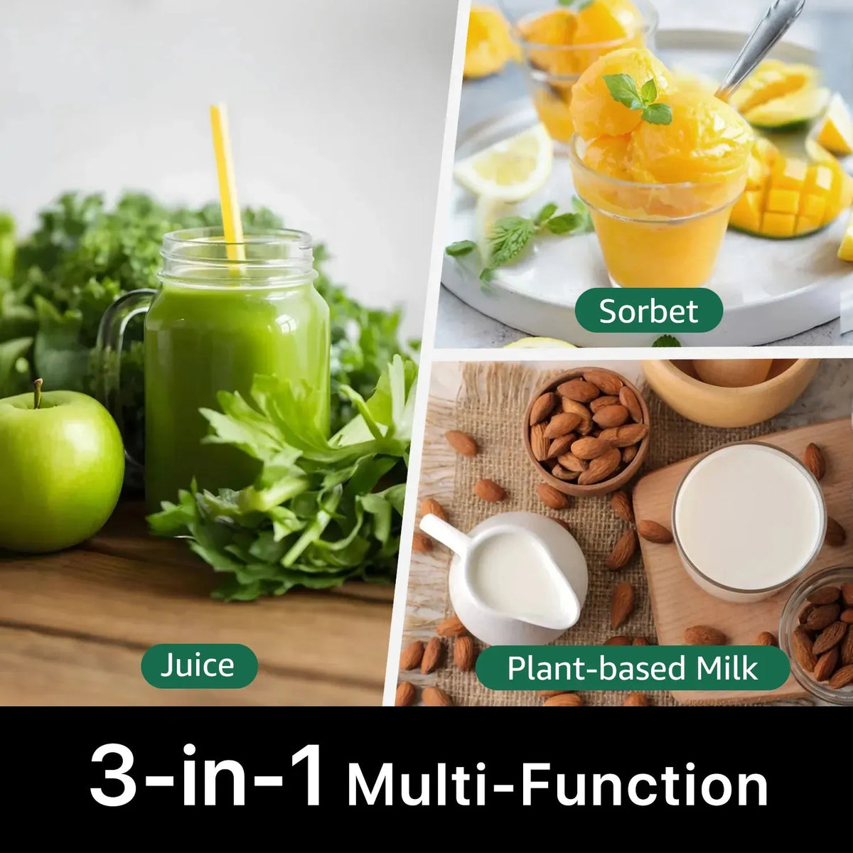 C16 3-in-1 Multi-Function Juicer