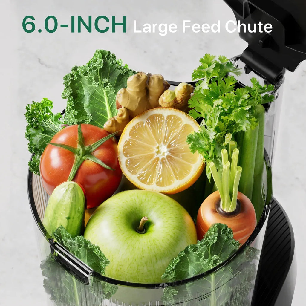 C16 3-in-1 Multi-Function Juicer