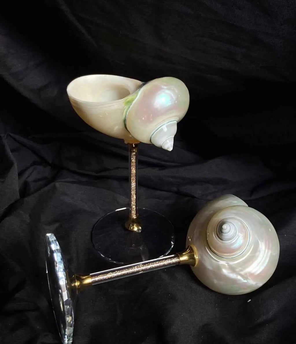 Magnifique verre à vin en coquillage artisanal – Gobelet sculptural océanique naturel et décoration de bar