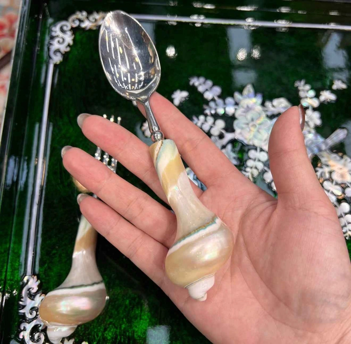 Natural Conch Shell Spoon & Fruit Fork Set