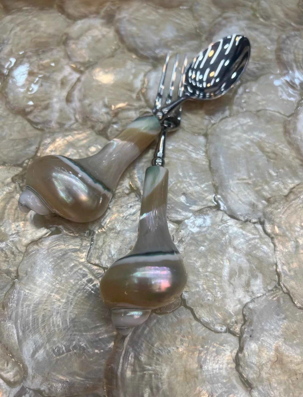 Natural Conch Shell Spoon & Fruit Fork Set