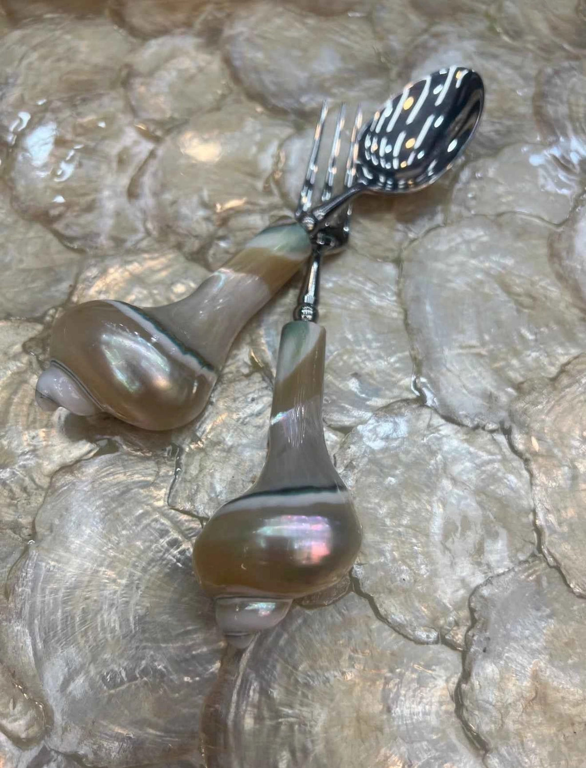 Natural Conch Shell Spoon & Fruit Fork Set